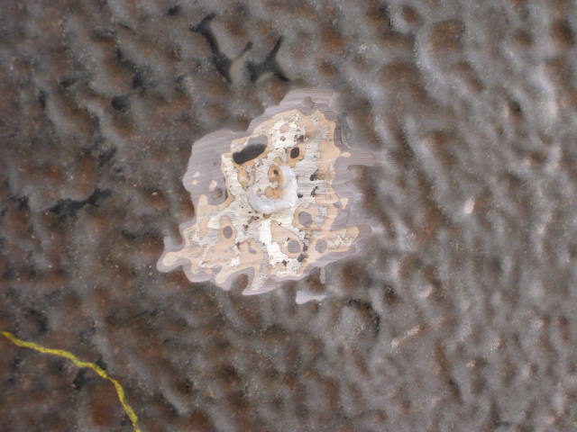 Before: widespread pitting across the hull plate, prior coating lifting away.