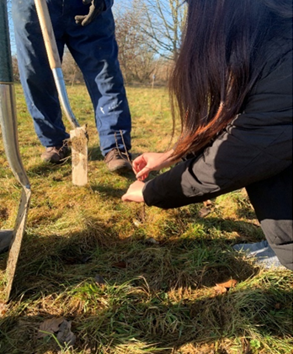 Belzona team members planting a tree through a community partnership